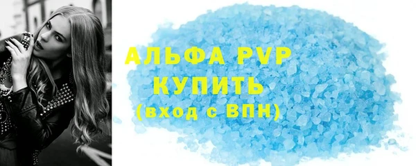 спиды Богданович