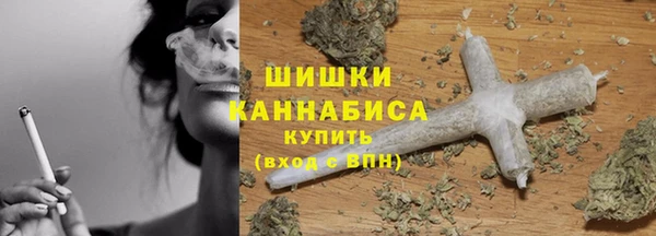 спиды Богданович