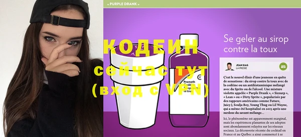 спиды Богданович