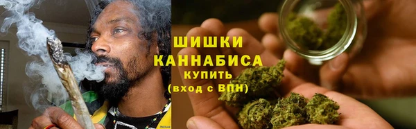 мдпв Богородск