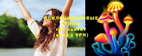 спиды Богданович