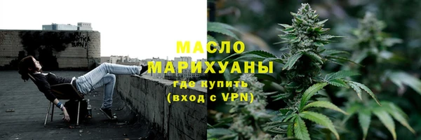 мдпв Богородск