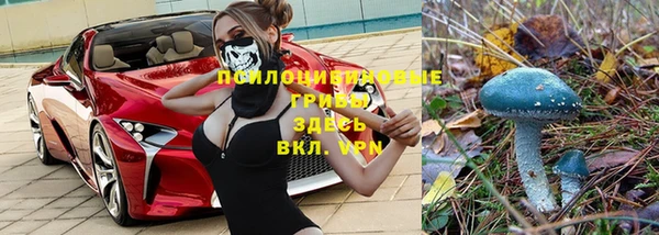 мдпв Богородск