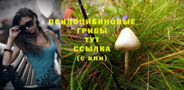марки nbome Богородицк