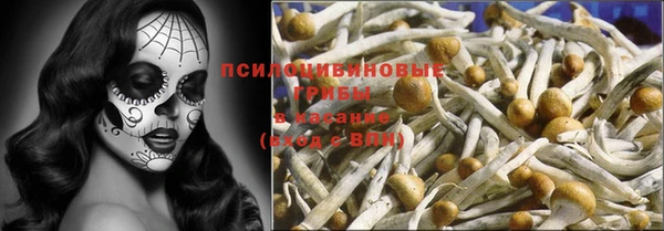 спиды Богданович