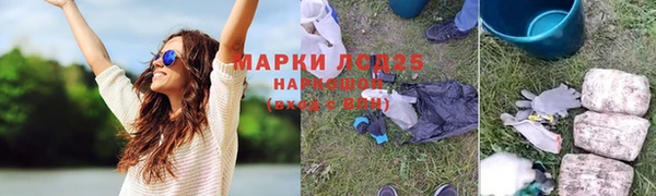 мдпв Богородск